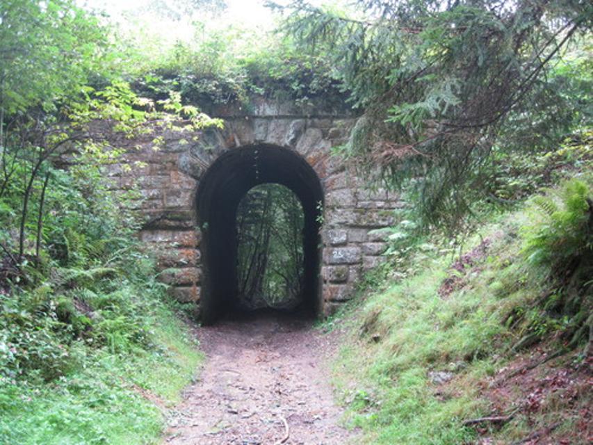 Unterführung der Waldbahnlinie