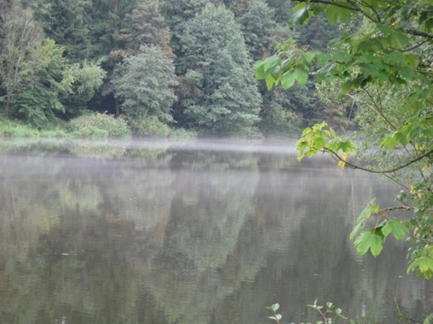 Stausee am Regen