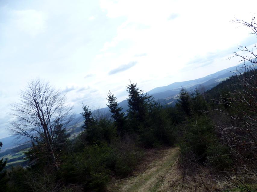 Ausblick vom Turm - Richtung Nationalpark