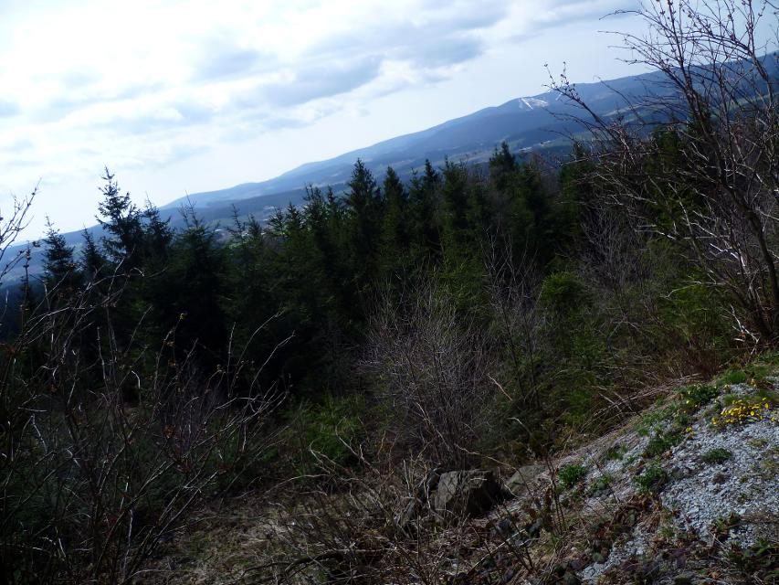 Ausblick vom Turm - Richtung Geißkopf