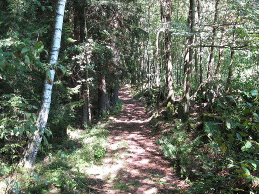 Einfaches Trailstück bei Lindl