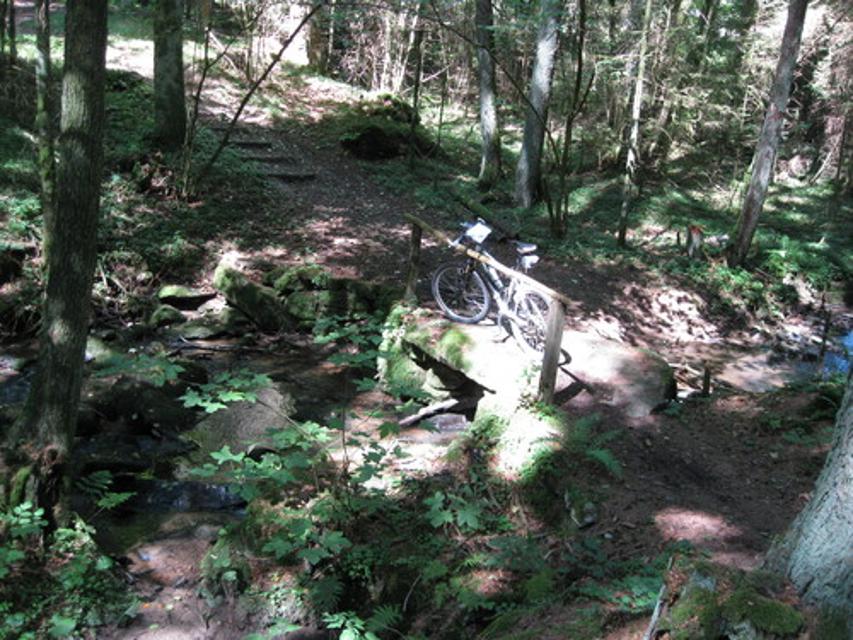 Singletrail bei Höllenstein