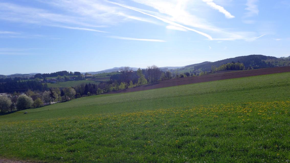 Anstieg zum Regener Ort Rohrbach