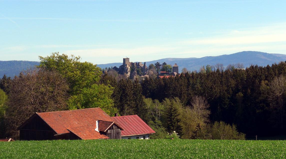 Blick zur Burgruine Weißenstein