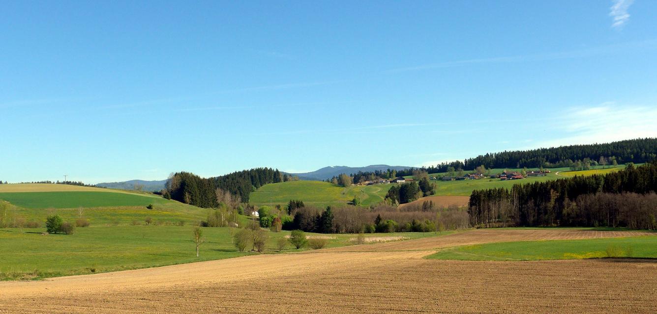 Landschaft bei Schlossau - im Hintergrund der Große Arber