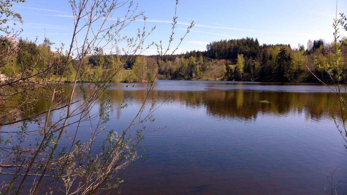 Regener Stausee im Frühjahr