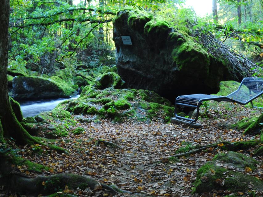 Naturerlebnis in der Diessensteiner Leite