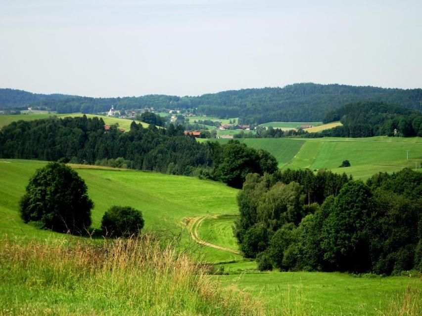 Blick nach Preying