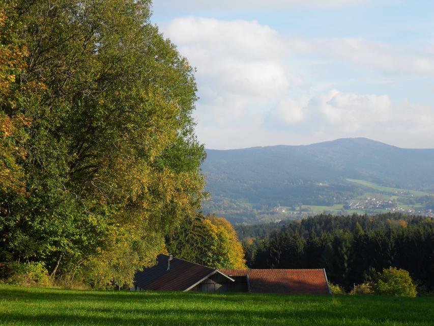 Ausblick Panoramaweg Patersdorf