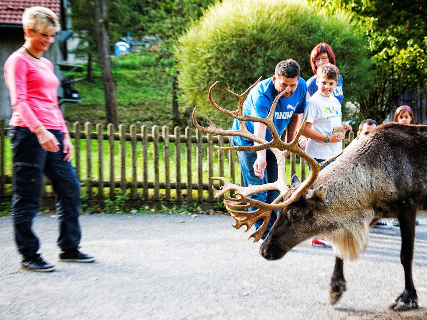 Wildpark Hundshaupten