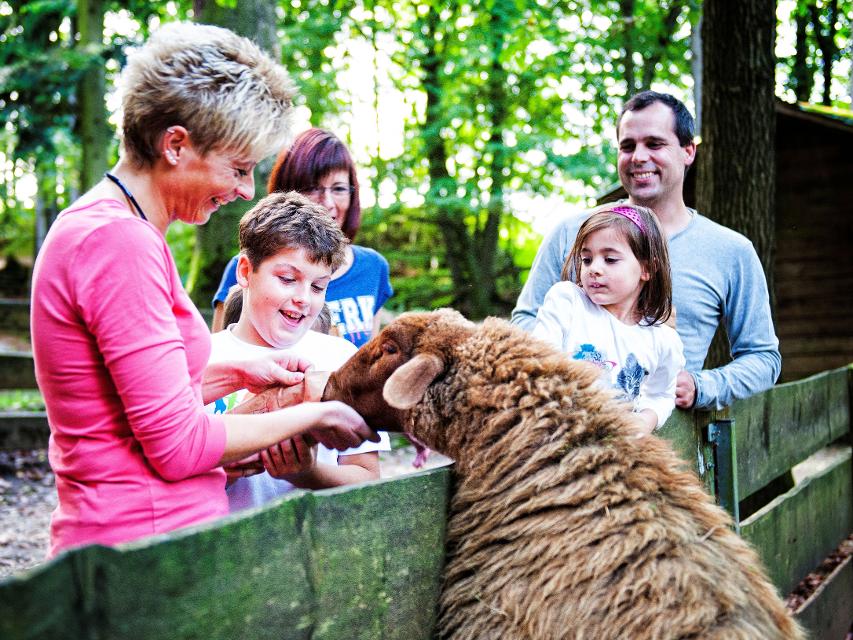 Wildpark Hundshaupten