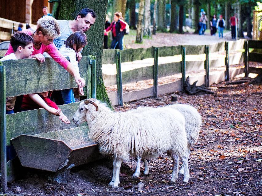 Wildpark Hundshaupten