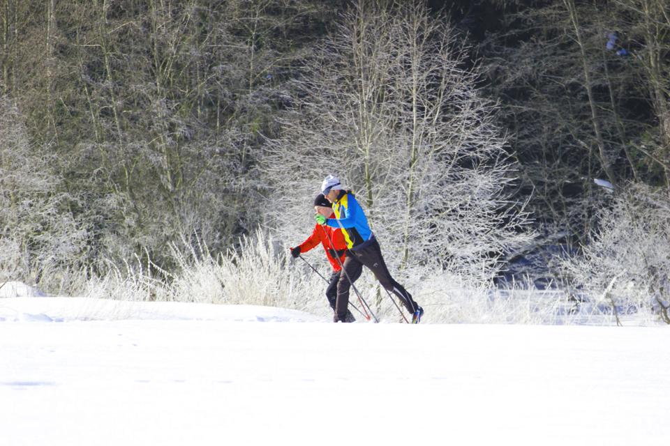 langlauf_mauth_bayerischerwald