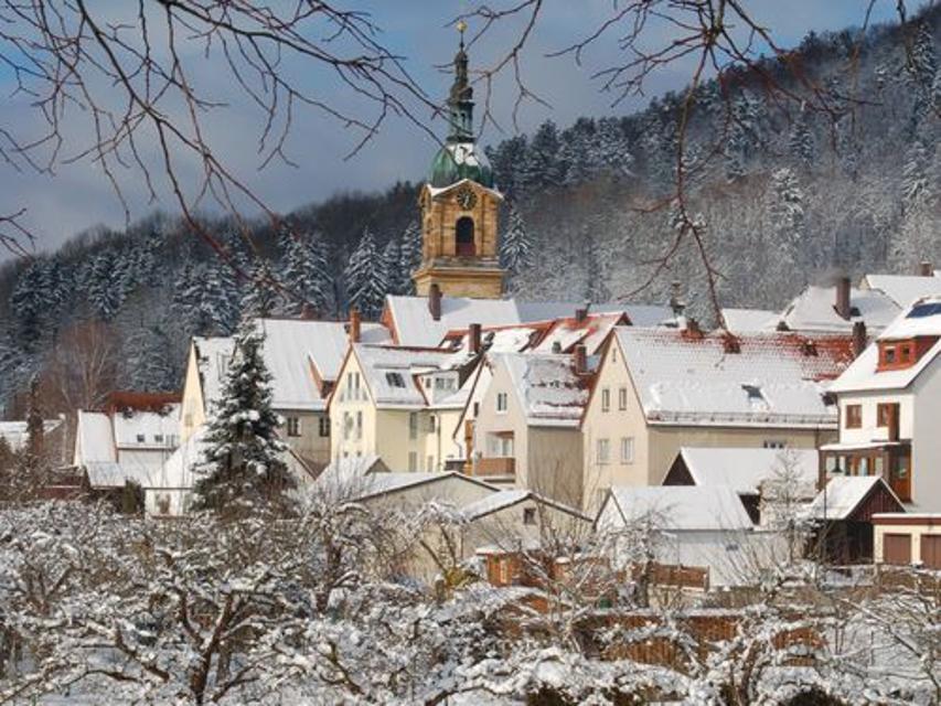 Pegnitz im Winter
