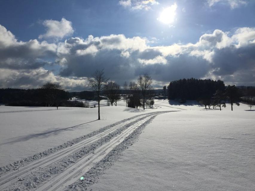 Loipe am Golfplatz Weidenloh