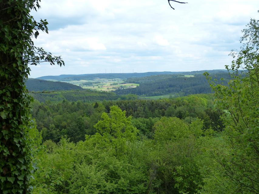 P1070003