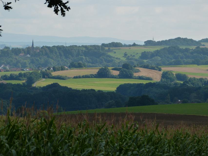 Rundweg Schobertsberg