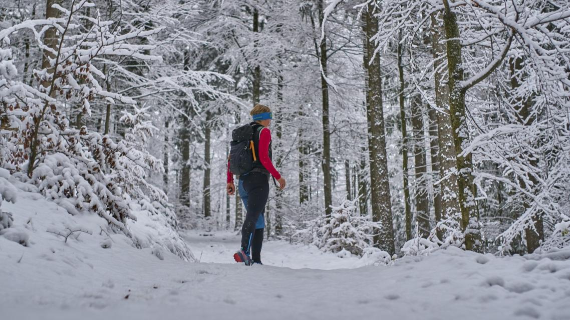 Wanderung auf der Arberhochstraße