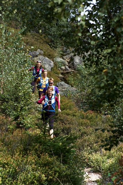 Trailrun-Gruppe durch´s ARBERLAND