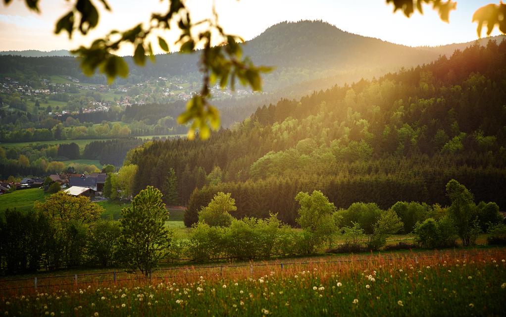 Blick auf den Hennenkobel