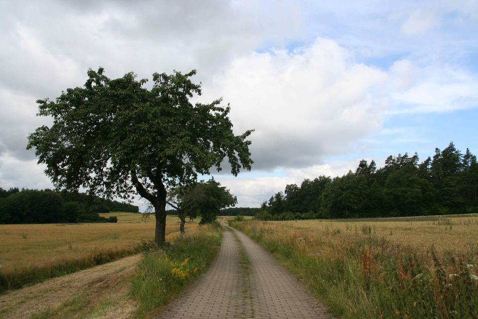 Hochebene Frankendorf
