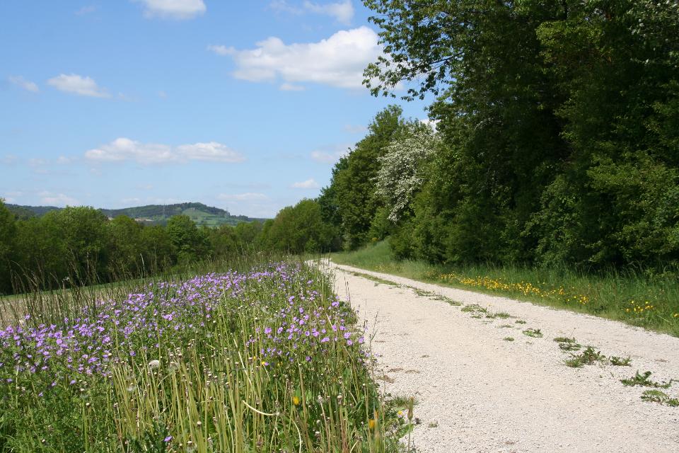 Wanderweg Heiligenstadt