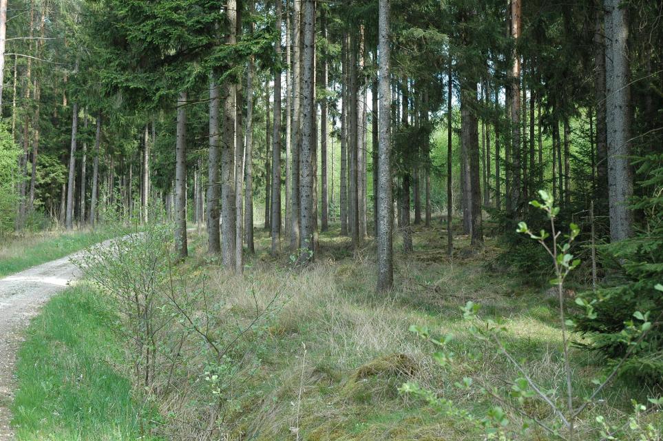Fuchsbaumweg