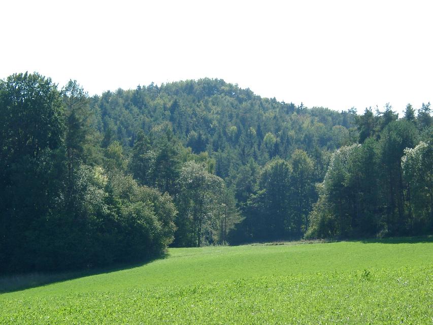 Der Burgstall