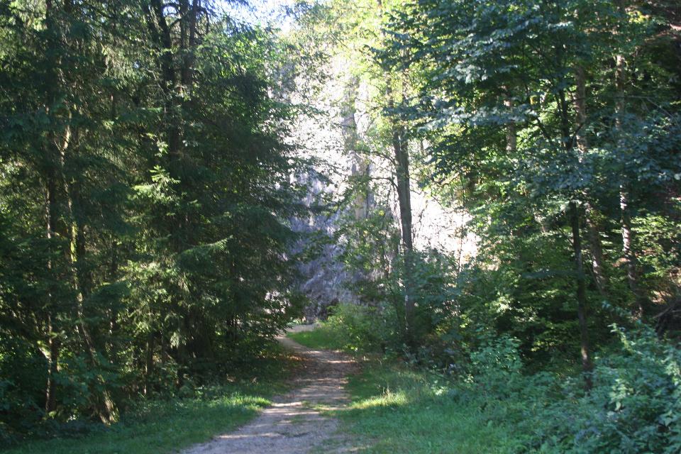 Am Mühlgraben