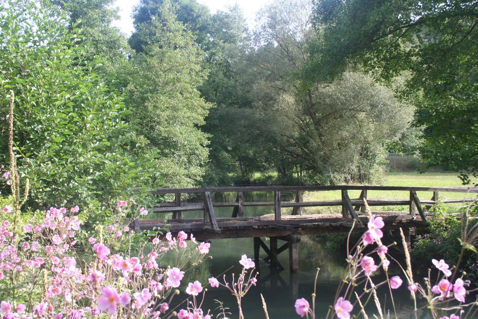 Wiesent bei Nankendorf