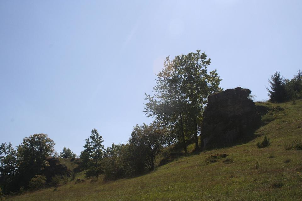 Wacholderheiden bei Hollfeld