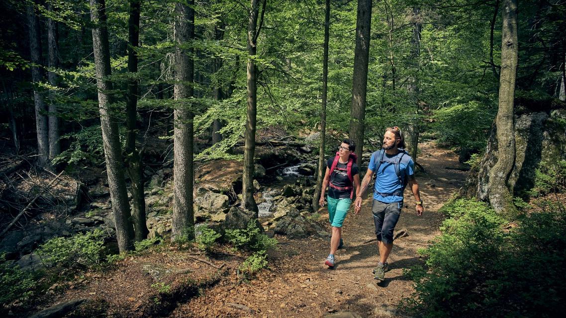 Wandern rund um Bodenmais