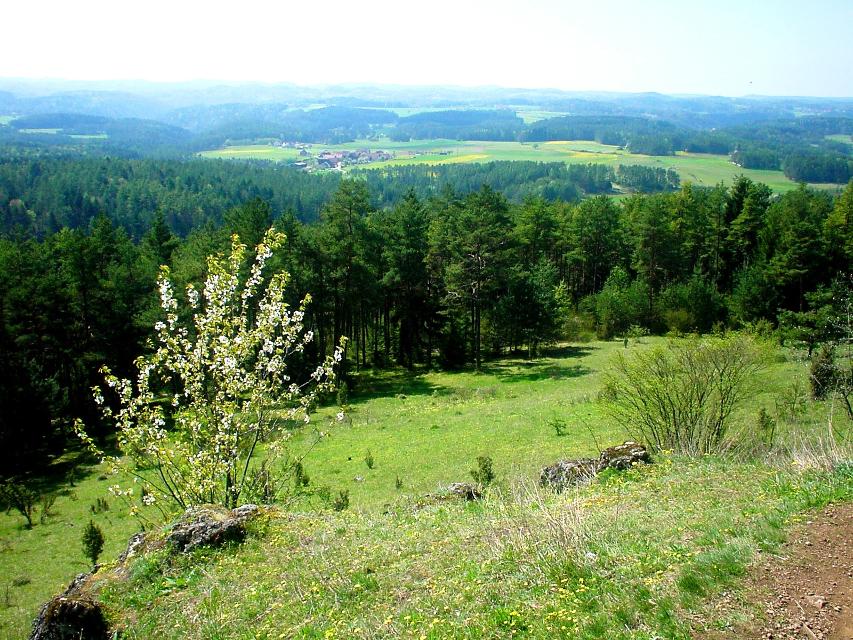 Haßlach Kleinlesau