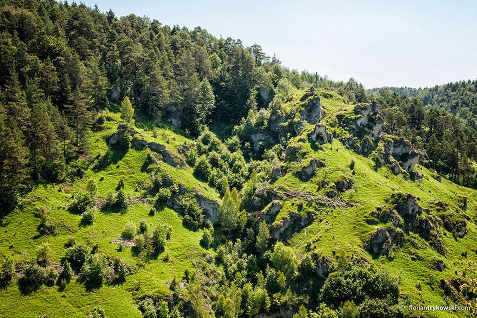 Blick aufs Püttlachtal