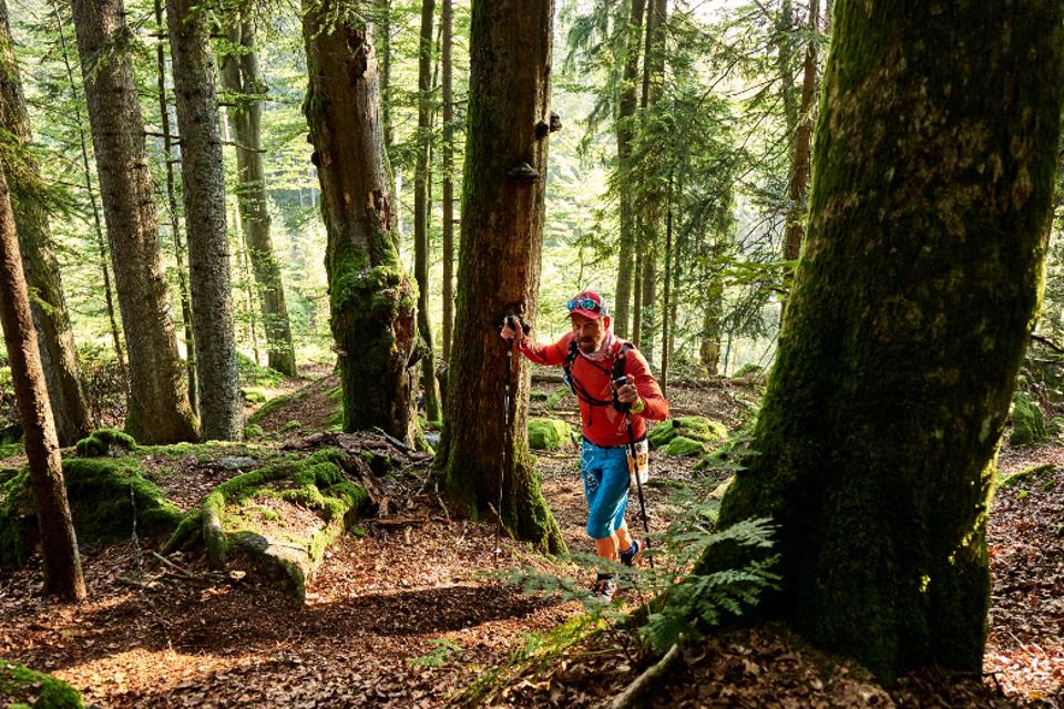 ARBERLAND_Ultra_Trail_Woidlife
