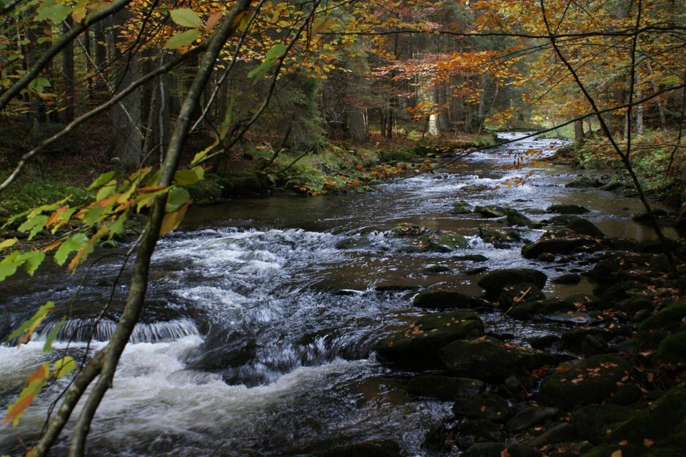 Flusswanderweg_2