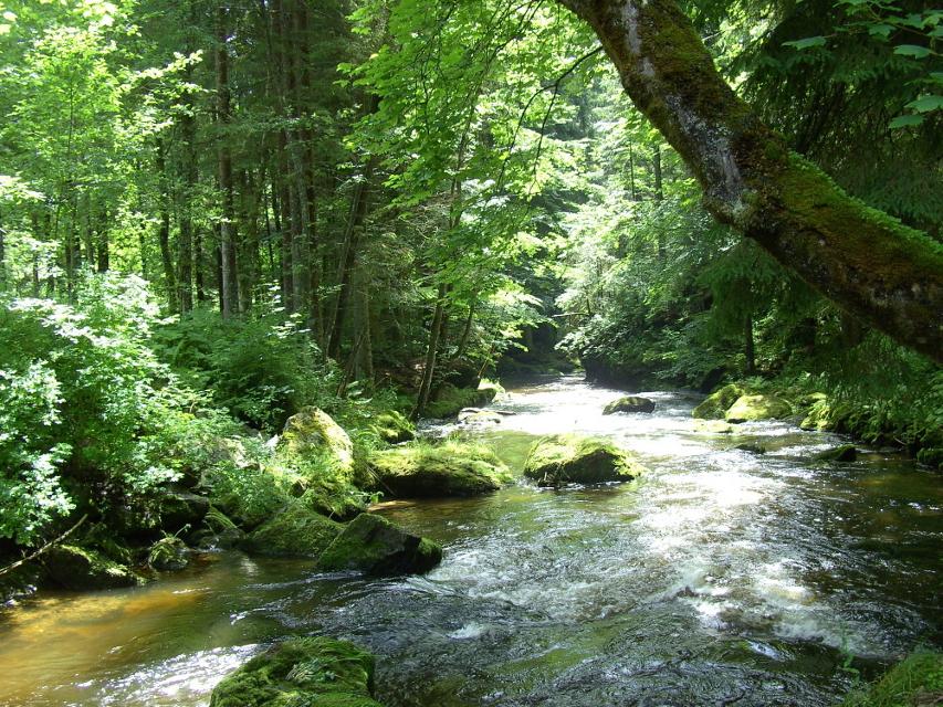 Idylle am Fluß Großer Regen bei Regenhütte