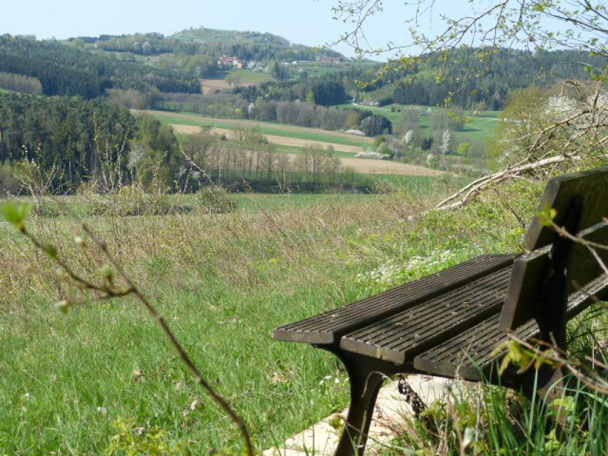 Blick auf Neubürg