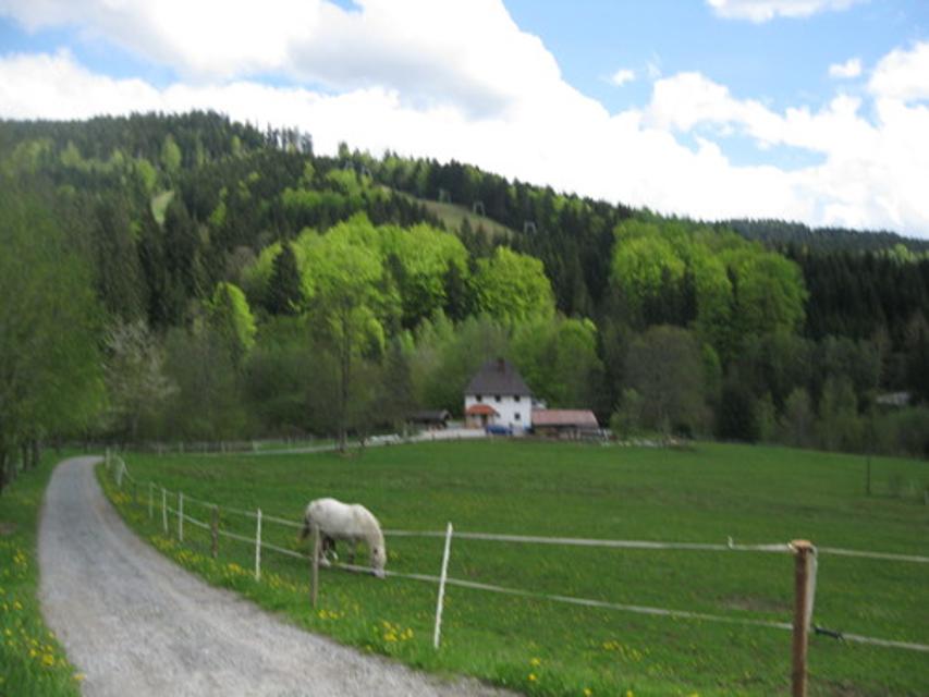 bei Schönbach