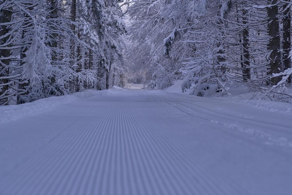 Skilanglauf im Skiwanderzentrum Zwieslerwaldhaus