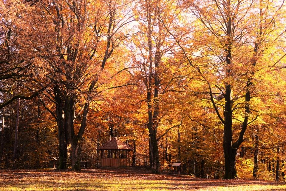 Herbstlandschaft
