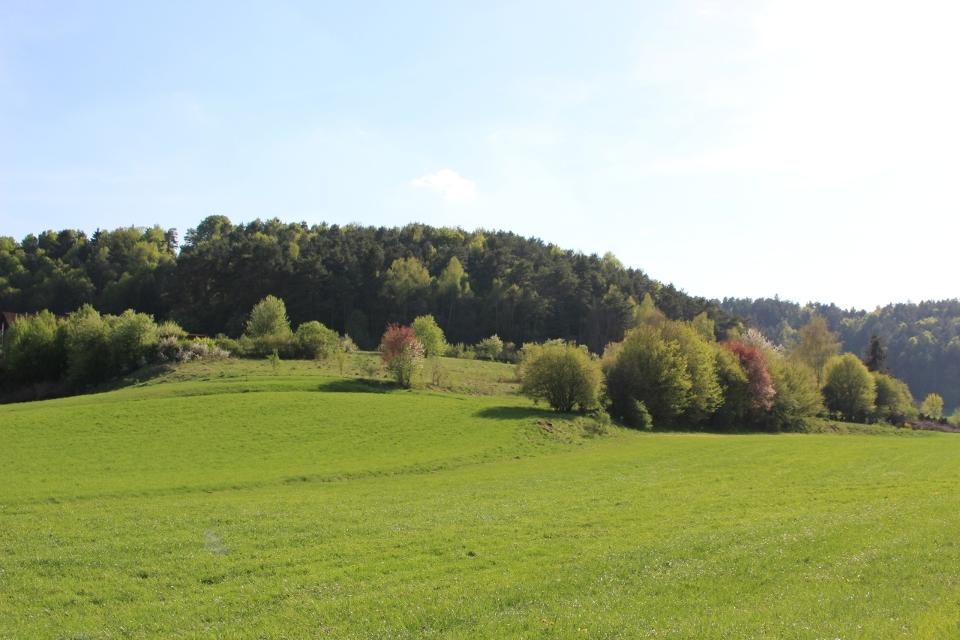 Frühling