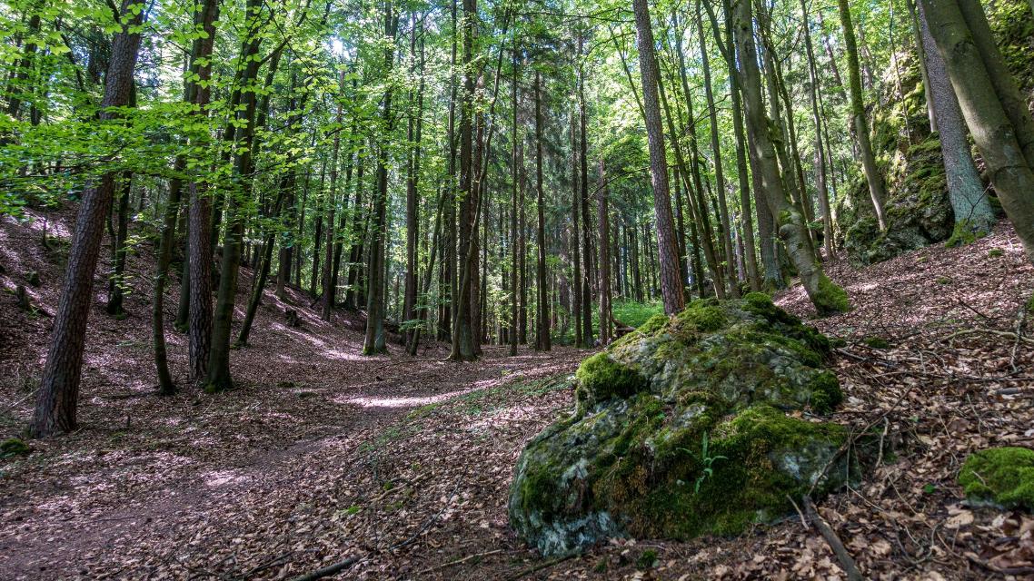 Plecher Bergtour