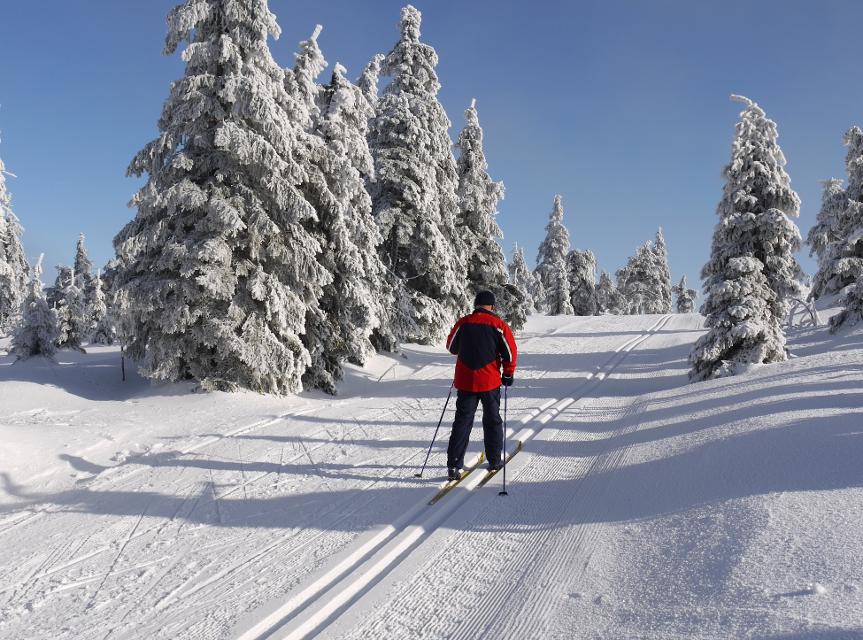 Langlauf© Dagmar Richardt - Fotolia