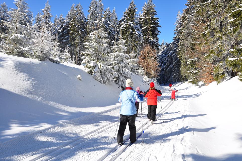 Langlauf© Henry Czauderna -Fotolia