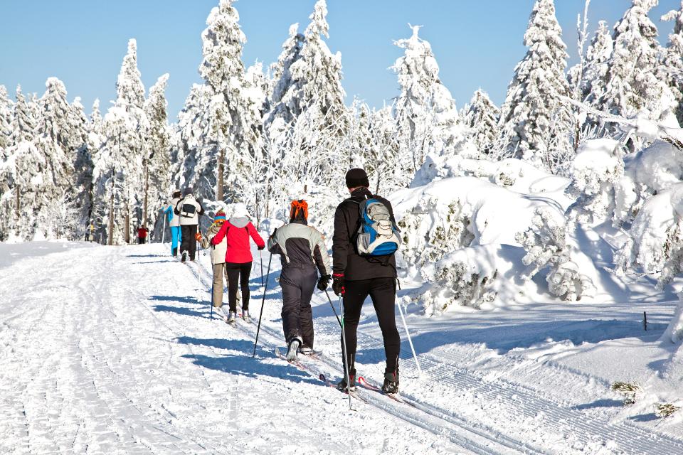 Skilanglauf© Edler von Rabenstein - Fotolia