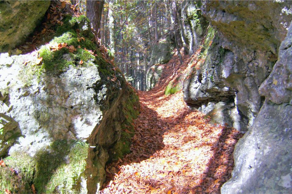 Jägersteig