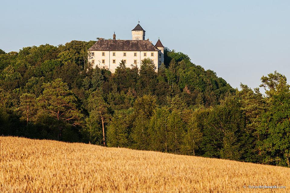 Schloss Greifenstein