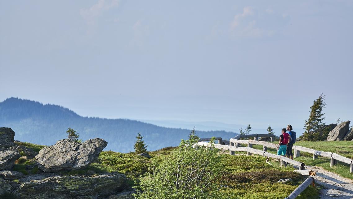 Gipfelplateau Gr. Arber