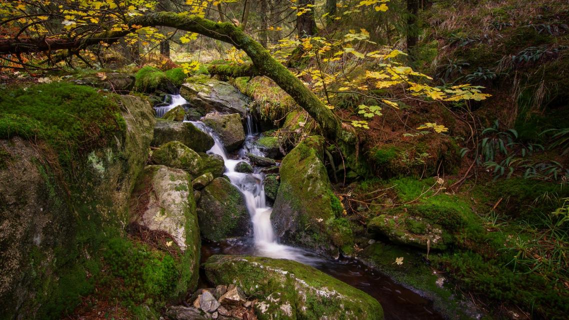 Rißlochschlucht